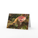Hungry Slug cards