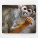 Hungry Squirrel Monkey Mouse Pad
