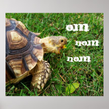 Hungry Tortoise - "Om nom nom" Poster