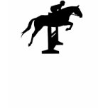 Hunter Jumper Horse & Rider t-shirts
