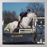 Hunter Jumper  Poster posters