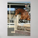 Hunter Jumper Poster 1 posters