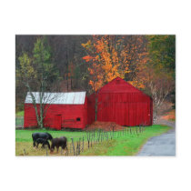 Hunter Mountain Post Cards