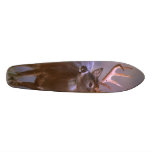 hunters board skate deck