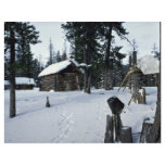 Hunter's shelter, Siberia Winter flyers