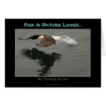 Hunting Bald Eagle Gift Item Card