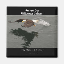 Hunting Bald Eagle Wildlife Supporter Gift Magnet