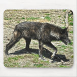Hunting Black Grey Wolf Wildlife Photo Mouse Pads