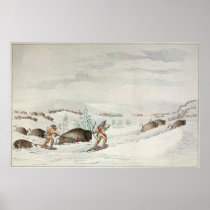 Hunting buffalo on snow-shoes print