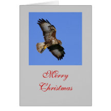 Hunting Buzzard Card