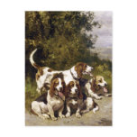 Hunting Dogs - Vintage Dog Art by Charles de Penne postcards