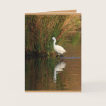 Hunting Egret cards