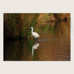 Hunting Egret cards