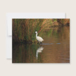 Hunting Egret invitations