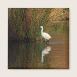 Hunting Egret magnets
