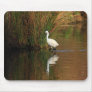 Hunting Egret Mousepads