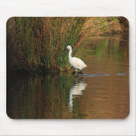 Hunting Egret mousepads