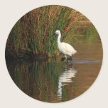 Hunting Egret stickers