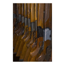 hunting guns posters
