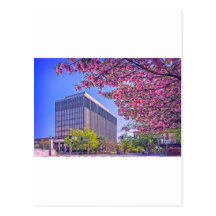 Huntsville Courthouse Postcards