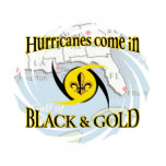 Hurricanes in Black & Gold t-shirts