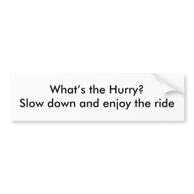 Hurry? Bumper Stickers by donquijote1954