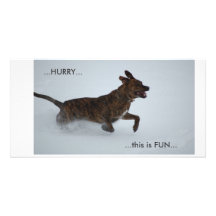 ...Hurry...this is Fun... Photo Greeting Card