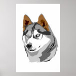 Husky 2 print