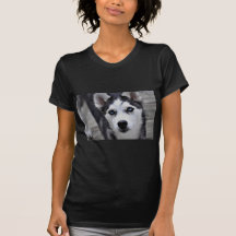 husky-99.jpg shirts