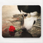 Husky and Red Rose Photography Mousepad