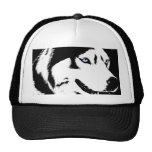 Husky Caps Sled Dog Caps Siberian Husky Hats Gift