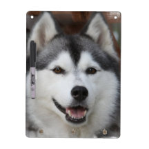 Husky Dog  Dry Erase Board