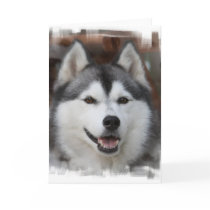 Husky Dog Greeting Card