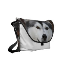 Husky Dog  Messenger Bag