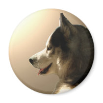 Husky Fridge Magnet Alaskan Sled Dog Magnet / Gift