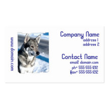Husky in Snow Business Cards