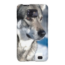 Husky in Snow Samsung Galaxy Case