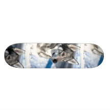 Husky in Snow Skateboard