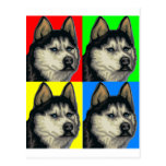 Husky Malamute Goes Primary Collage Postcard