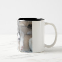 Husky Mug