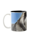 Husky Mug Coffee Cup Cool Siberian Husky Cup