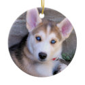 Husky Ornament