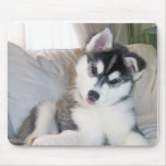 Husky Puppy Mousepad