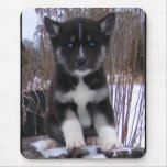 Husky Puppy Mousepads