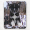 Husky Puppy mousepads