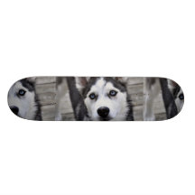 Husky Puppy Skateboard