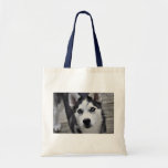 Husky Puppy Small Tote Bag