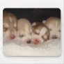 husky pups mouse mats