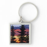 HUSTON PARK WILDERNESS, WYOMING. USA. Spruce keychains