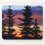 HUSTON PARK WILDERNESS, WYOMING. USA. Spruce mousepads